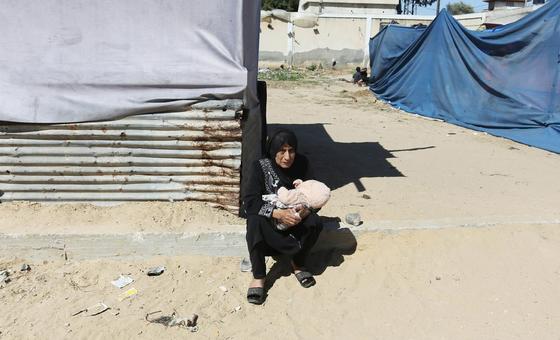 gaza:-heatwave-brings-new-misery-and-disease-risk-to-rafah