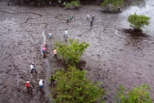 in-the-pacific-coast-of-colombia,-guardians-of-the-mangrove-sow-seeds-of-change
