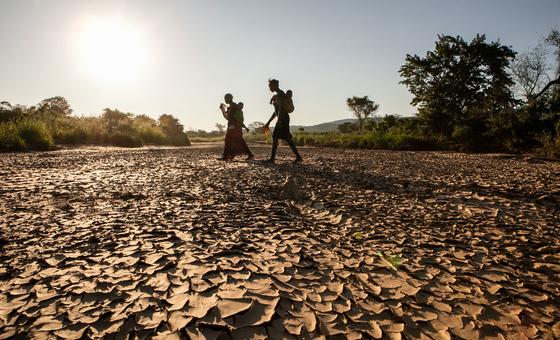 droughts-and-floods-threaten-‘humanitarian-catastrophe’-across-southern-africa