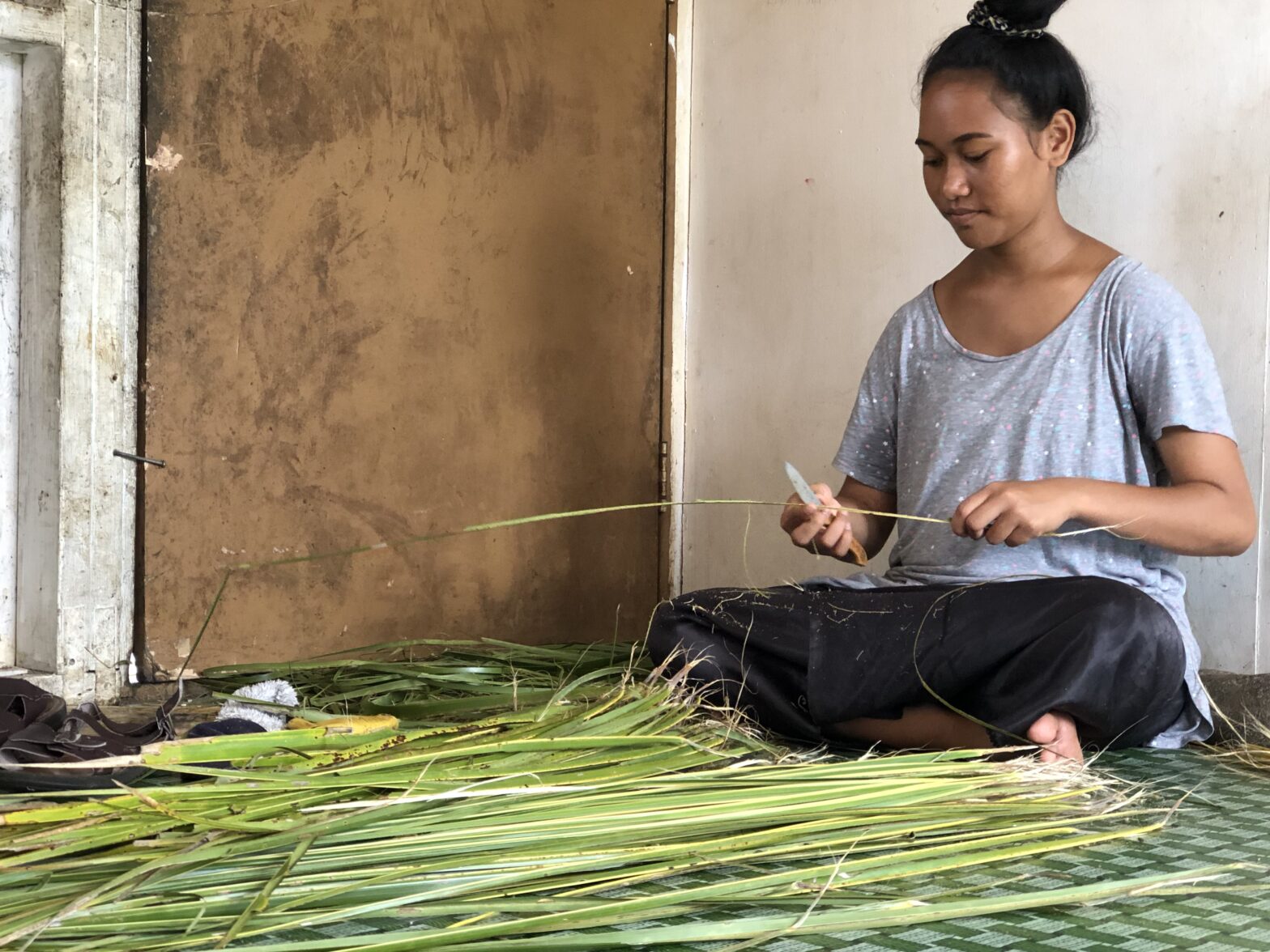 tonga’s-first-gender-and-environment-survey-incites-action-on-family-protection-and-disaster-risk-reduction