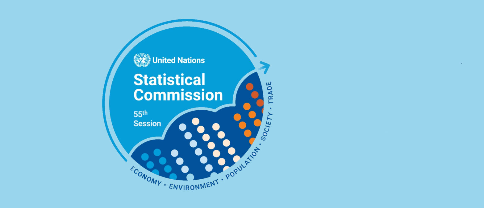 un-women-at-the-55th-un-statistical-commission