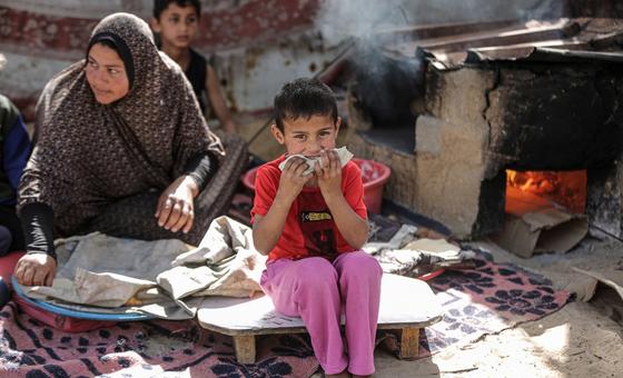 wfp-continues-to-support-millions-amid-ongoing-wars-in-gaza-and-ukraine