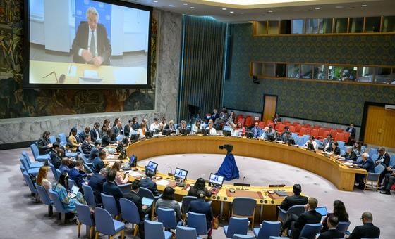 security-council:-middle-east-envoy-warns-against-escalation,-highlights-continued-israeli-settlement-activity