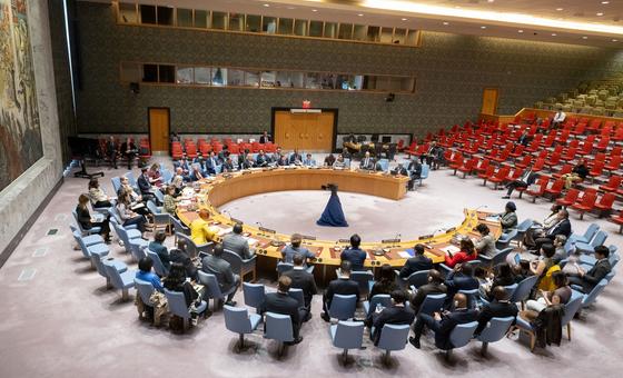 security-council-briefed-on-progress-in-un-au-partnership-for-peace