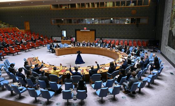 un-security-council-extends-sanctions,-arms-embargo-on-haiti