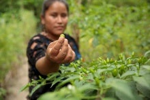 un-women-at-cop29:-calling-for-a-push-on-gender-equality-in-climate-action