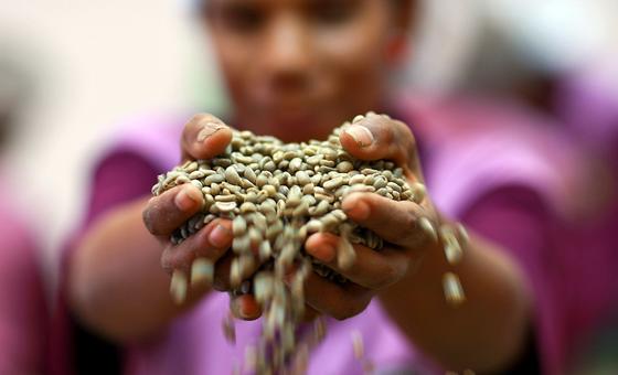 coffee,-tea-and-cocoa-costs-see-global-food-import-bill-soaring-past-$2-trillion