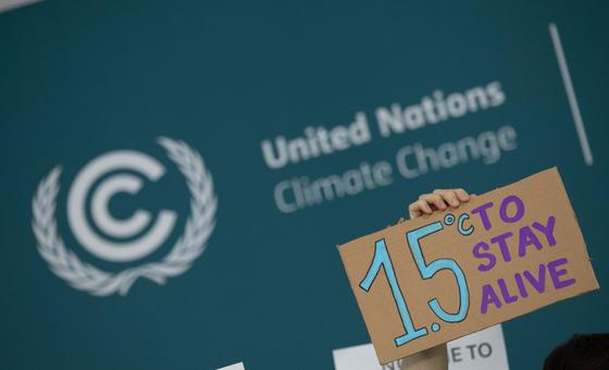 cop29-draft-deal-proposes-wealthy-nations-give-$250-billion-in-climate-finance